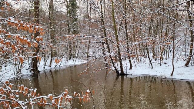 Winter am Otterbach | Foto: Andrea Abt