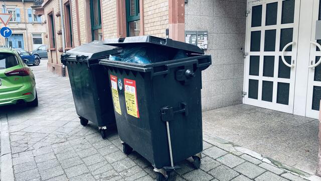 Foto: Marko Kuester von Ratenicz