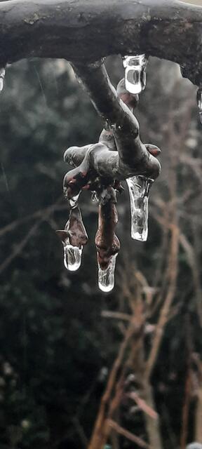 Eisregen  | Foto: Kristin Hätterich 