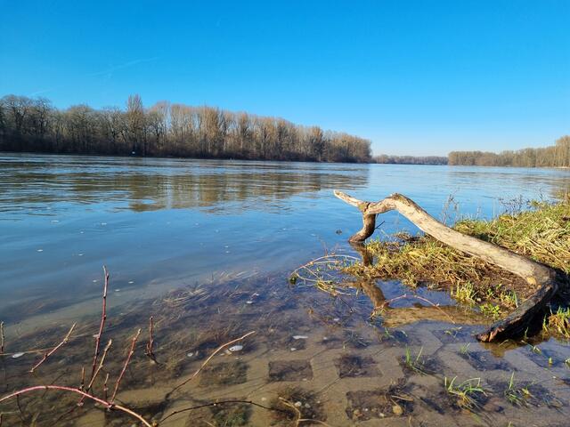 Rhein: Viel Wasser und viele Besucher an der Insel Rott | Foto: www.jowapress.de