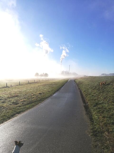 Spaziergang am Rheindamm | Foto: © Herbert Wetterauer