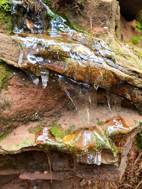 Eiszeit in der Pfalz - auf der Hilschweiher Runde | Foto: Melanie Zürn