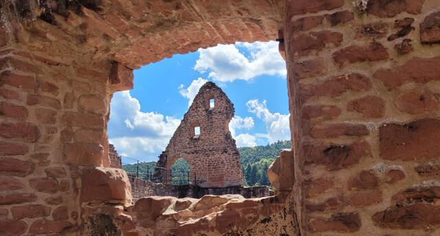 Burgruine Hardenburg | Foto: Andrea Abt