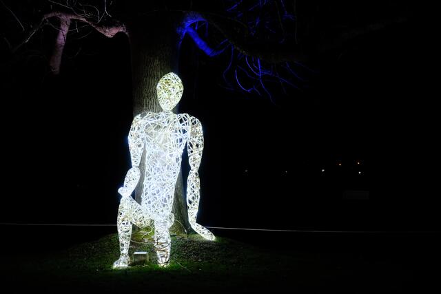 Winterlichter 2024: Noch bis zum 11. Februar sorgen bunte Lichtinstallationen im Luisenpark Mannheim für leuchtende Augen | Foto: Jessica Bader