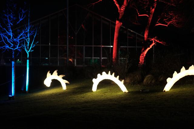Winterlichter 2024: Noch bis zum 11. Februar sorgen bunte Lichtinstallationen im Luisenpark Mannheim für leuchtende Augen | Foto: Jessica Bader