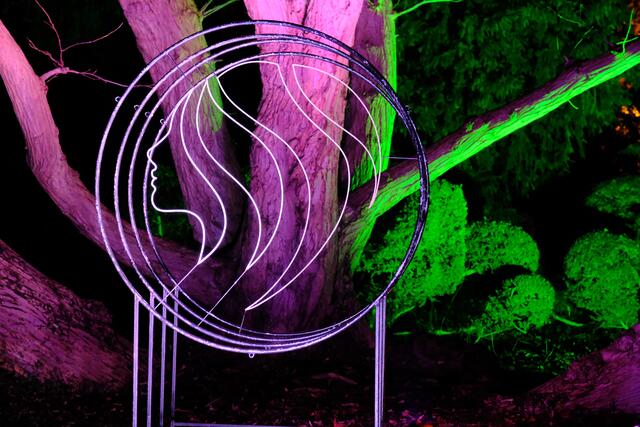 Winterlichter 2024: Noch bis zum 11. Februar sorgen bunte Lichtinstallationen im Luisenpark Mannheim für leuchtende Augen | Foto: Jessica Bader