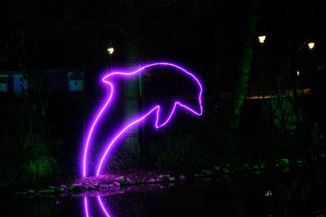 Winterlichter 2024: Noch bis zum 11. Februar sorgen bunte Lichtinstallationen im Luisenpark Mannheim für leuchtende Augen | Foto: Jessica Bader