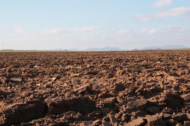 Für die Landwirte geht es jetzt wieder „nauszus“, die Arbeit auf dem Feld beginnt | Foto: Franz-Walter Mappes