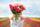 Blumen sind ein traditionelles Geschenk am Valentinstag | Foto: Pixel-Shot/stock.adobe.com
