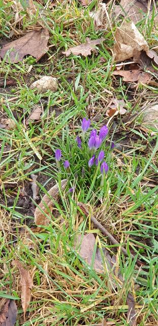 Foto: Karin Bandomir