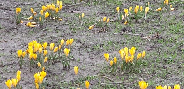 Foto: Karin Bandomir