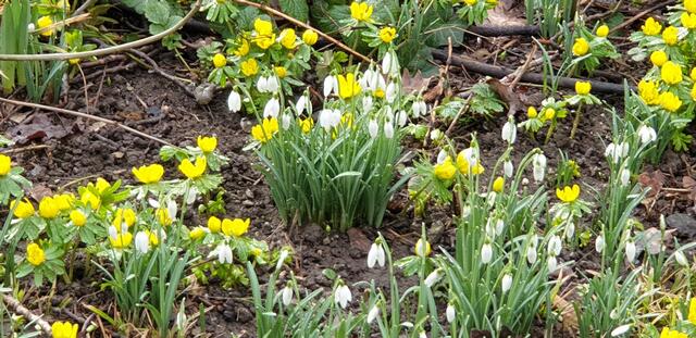 Foto: Karin Bandomir