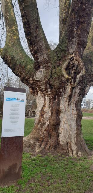 Foto: Karin Bandomir