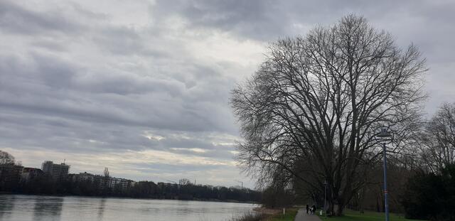 Foto: Karin Bandomir