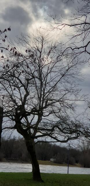 Foto: Karin Bandomir