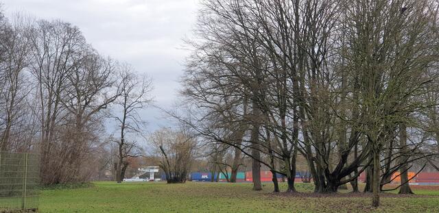 Foto: Karin Bandomir