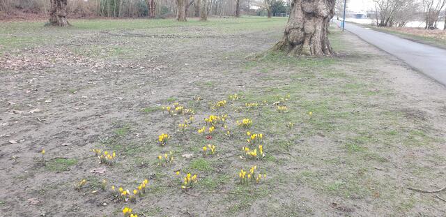 Foto: Karin Bandomir