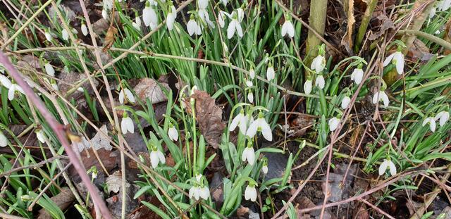 Foto: Karin Bandomir