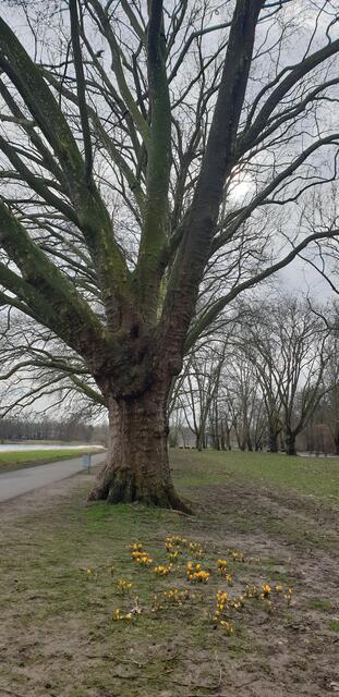 Foto: Karin Bandomir