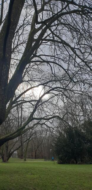 Foto: Karin Bandomir