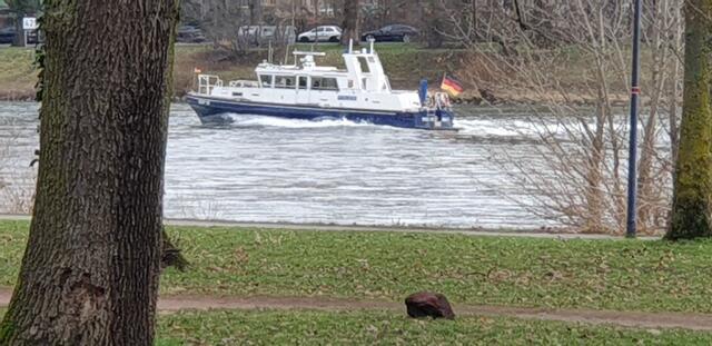 Foto: Karin Bandomir