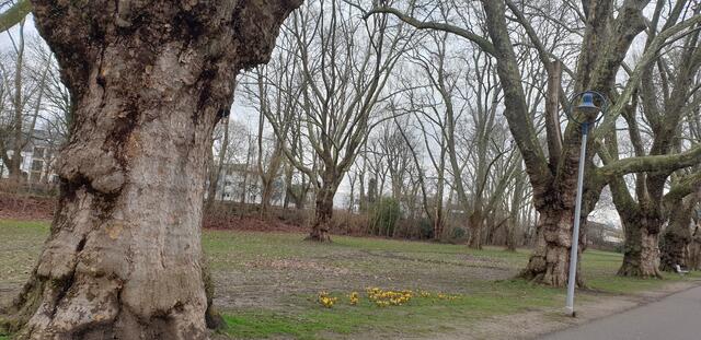 Foto: Karin Bandomir