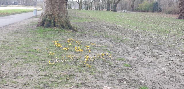 Foto: Karin Bandomir