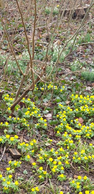 Foto: Karin Bandomir