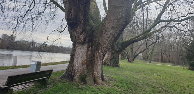 Foto: Karin Bandomir