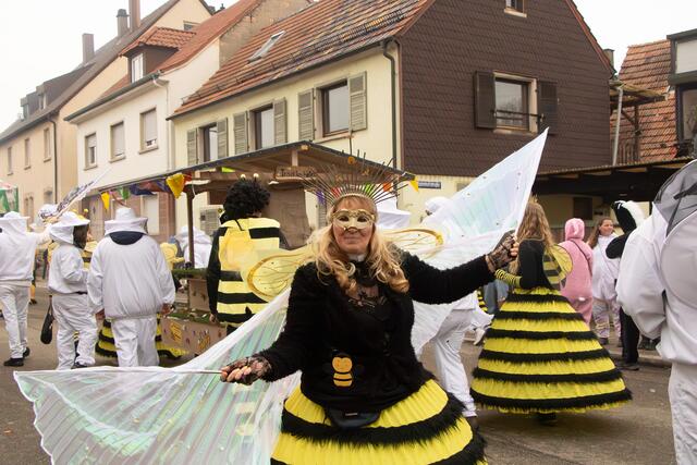die Narren machen Wörth unsicher | Foto: Heike Schwitalla