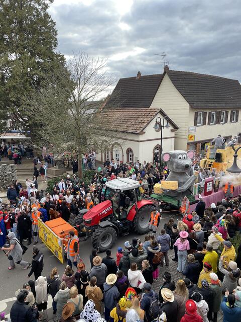 Die Südpfälzer Faschingsfreunde | Foto: Katharina Schmitt