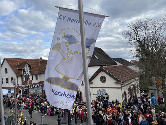 Der Herxheimer Umzug wird vom CV Narrhalla Herxheim veranstaltet | Foto: Katharina Schmitt