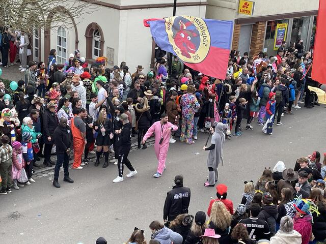 Die Südpfälzer Faschingsfreunde standesgemäß mit einer großen Fahne | Foto: Katharina Schmitt