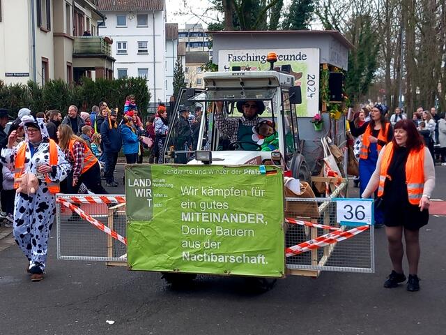 Faschingsfreunde Duttweiler beim Umzug in Germersheim | Foto: Gerhard Syring-Lingenfelder