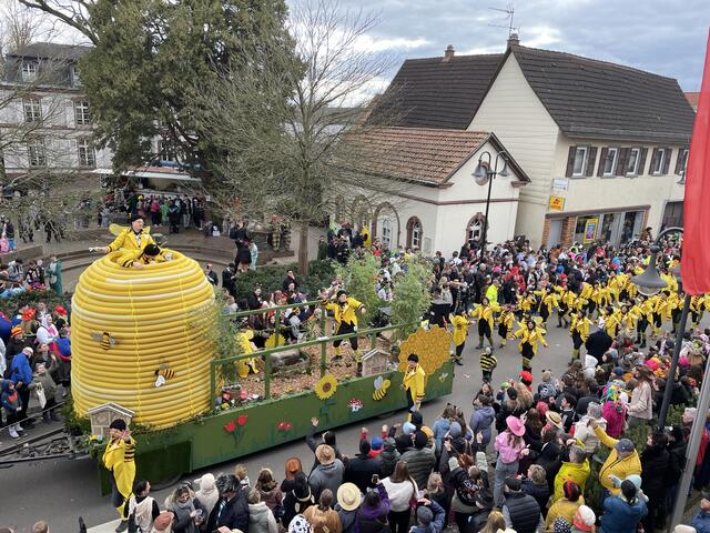 Die Herxemer Birnenseggel als "die fleißigen Bienen" mit einer Fußgruppe und einstudierter Choreographie | Foto: Katharina Schmitt