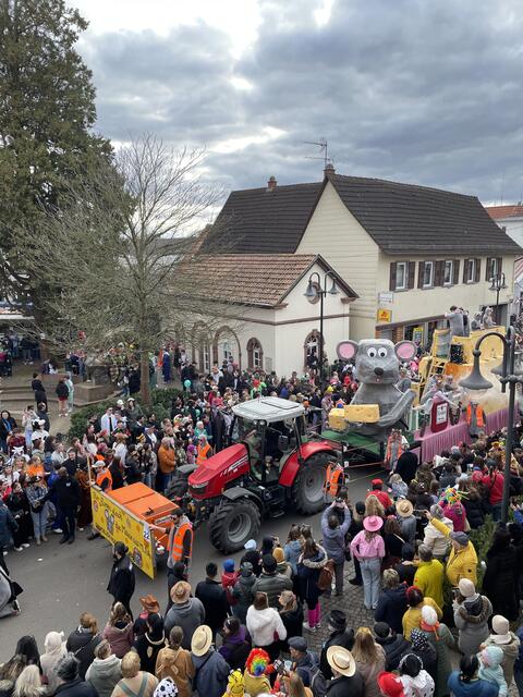 Südpfälzer Faschingsfreunde aus Hatzenbühl | Foto: Katharina Schmitt