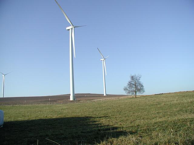 Der Windpark in der Eifel produziert 40 Prozent den Strombedarfs von Haltermann Carless am Standort Speyer | Foto: WEAG AG/gratis