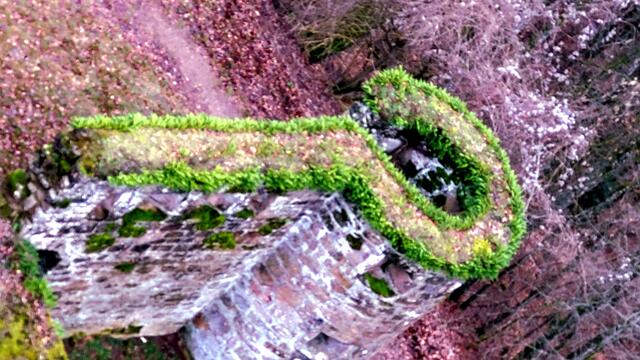Burgruine Gräfenstein  | Foto: Markus Pacher