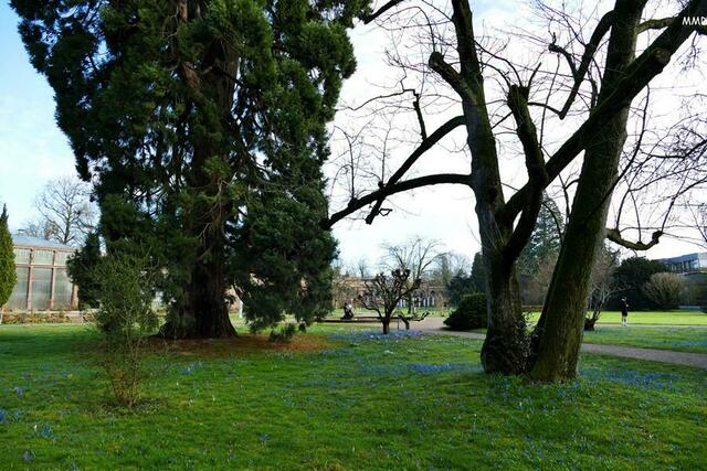 Schloßgarten Karlsruhe | Foto: Marlene Deck