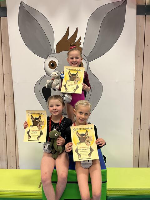 Foto: Turn-Team Sickingen