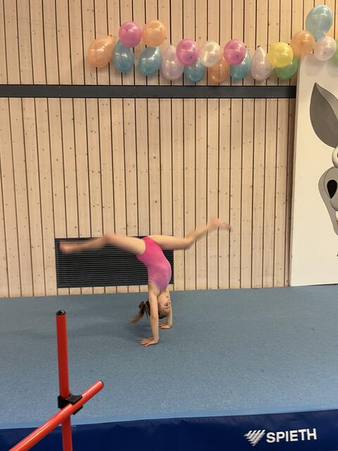 Foto: Turn-Team Sickingen