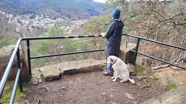 Herzogweiher-Blick | Foto: Markus Pacher