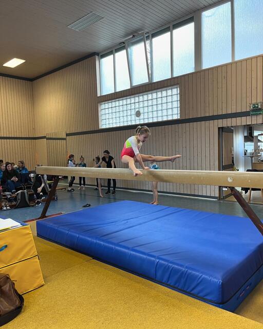 Foto: Turn-Team Sickingen