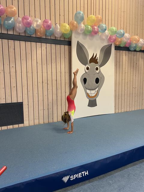 Foto: Turn-Team Sickingen