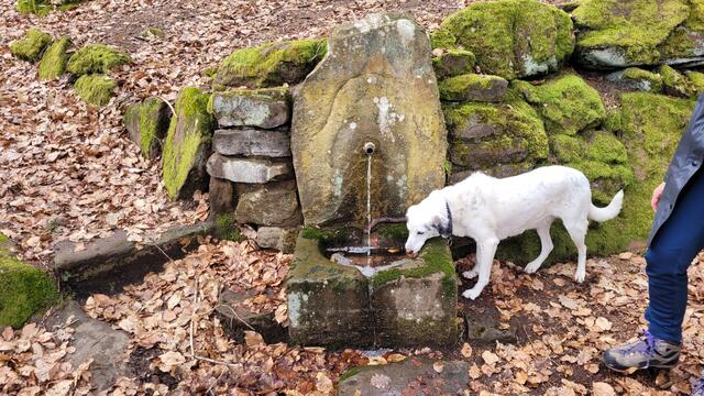 Geiersbrunnen | Foto: Markus Pacher