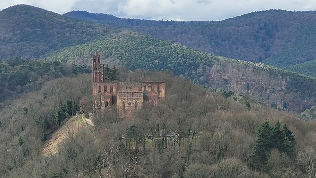 Klosterruine Limburg | Foto: Markus Pacher