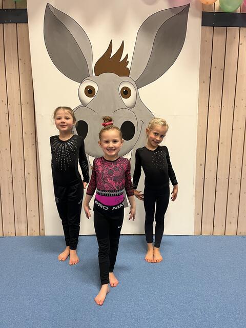 Foto: Turn-Team Sickingen