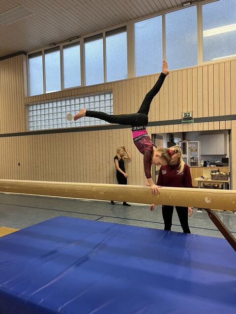 Foto: Turn-Team Sickingen