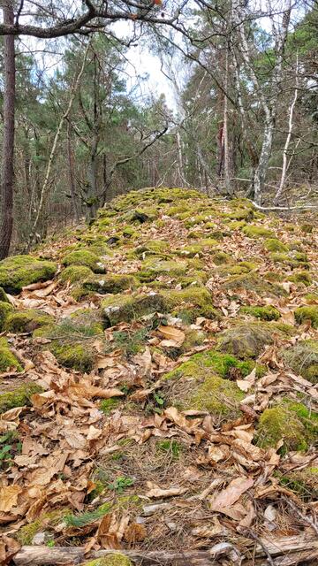 Keltenwall | Foto: Markus Pacher