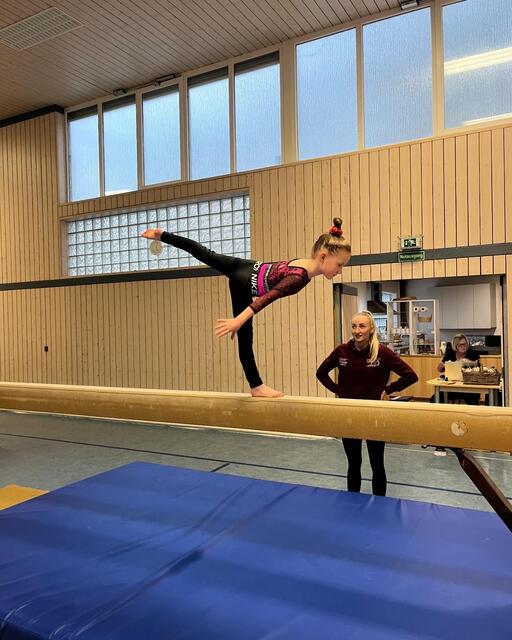 Foto: Turn-Team Sickingen